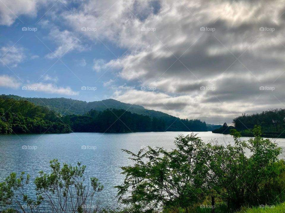 A represa entre Franco da Rocha e Mairiporã: que beleza!

A natureza nos inspira. 