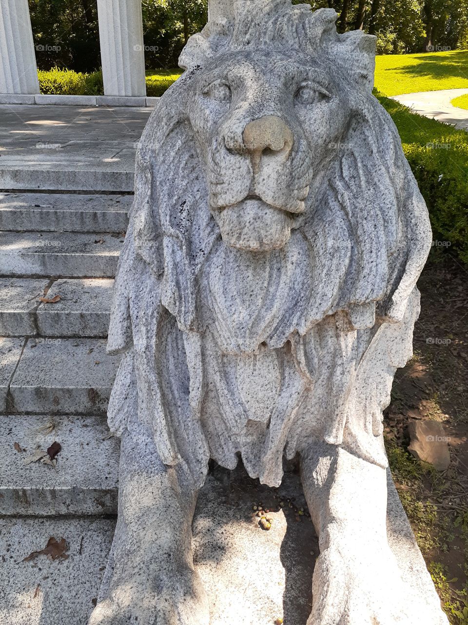 Stone Lion