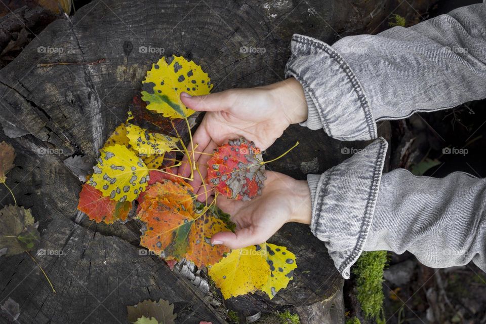 Hands and autumn leaves