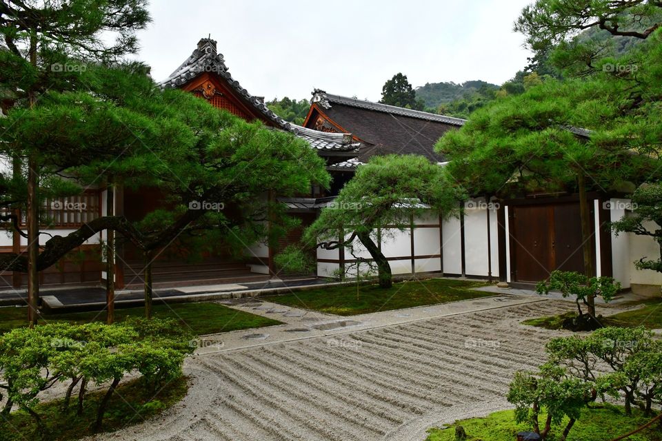 Japanese garden