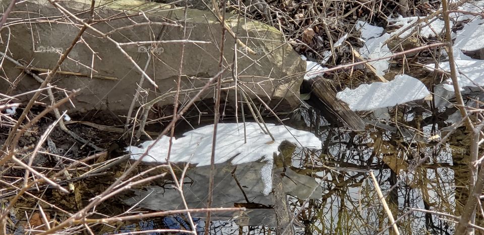 Floating Ice