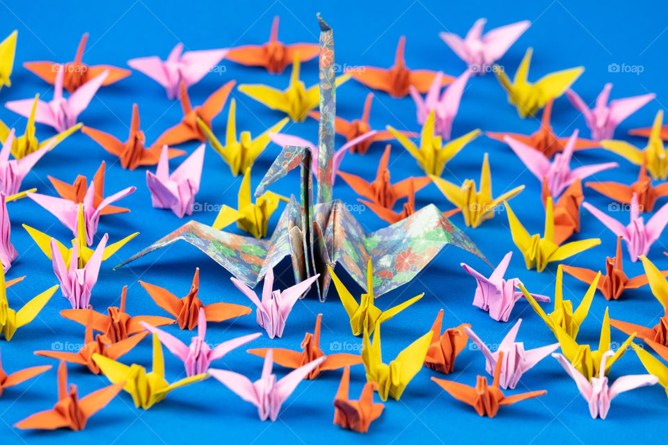 Paper birds