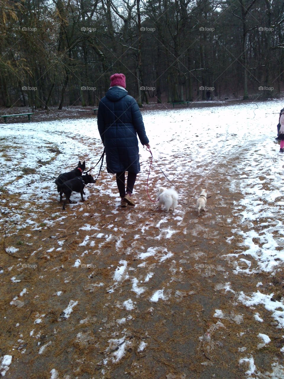 black & white on the snow