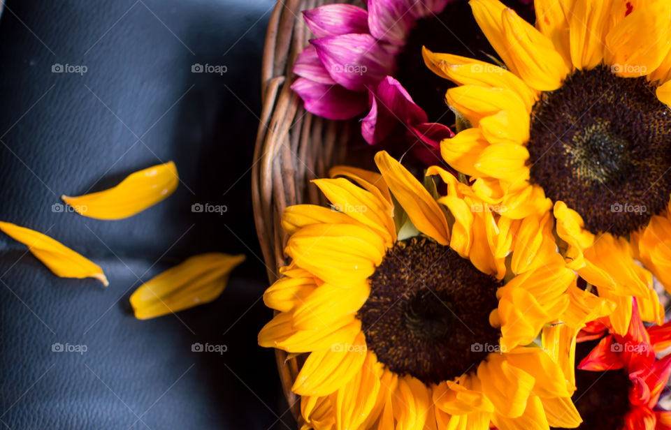 Elevated view of colorful bright sunflowers in basket with petals 