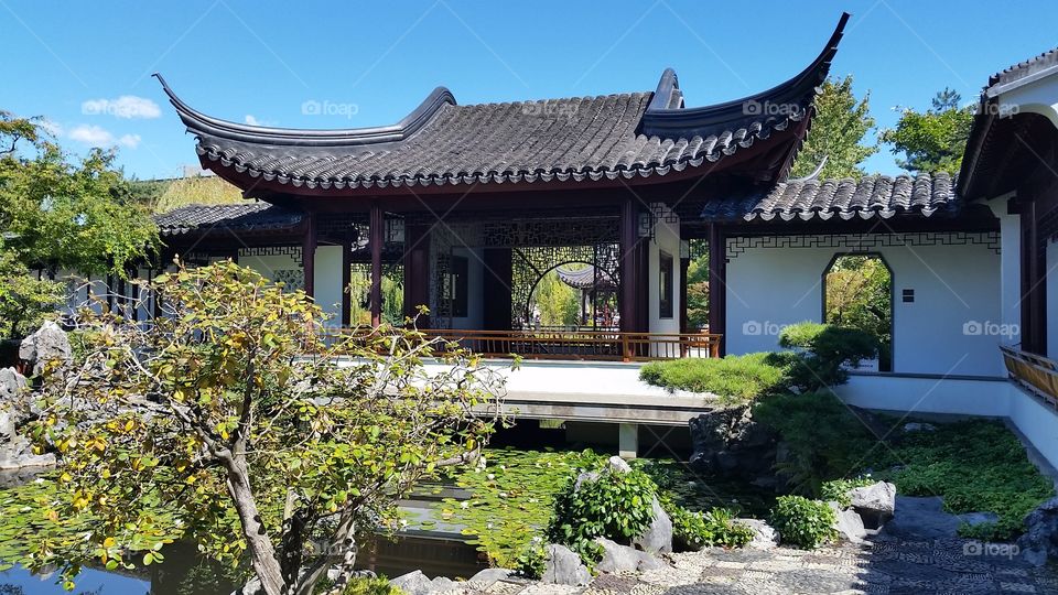 Sun Yat-Sen Classical Chinese Garden, Vancouver,BC, Canada 🍁