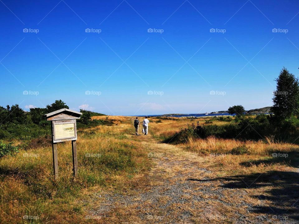 Pathway towards the sea