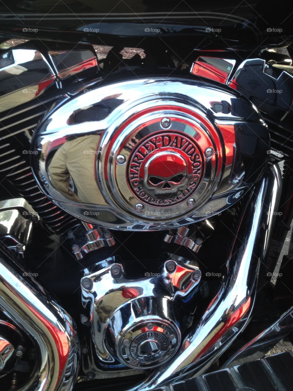 Harley Davidson wild engine