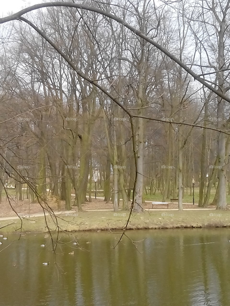 Naturalistic park . The beauty of spring in naturalistic park in Rozalin,  Poland 