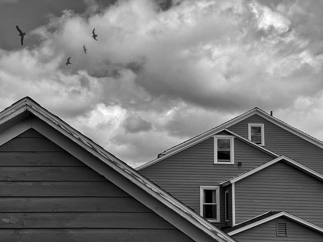 Pitched rooftops and flying birds on a cloudy day