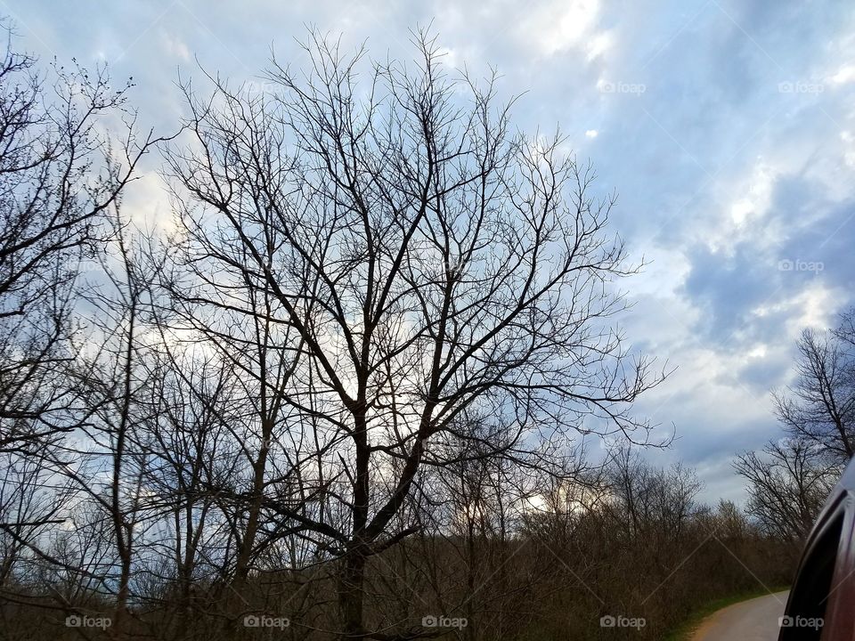 Early Morning after the Storm