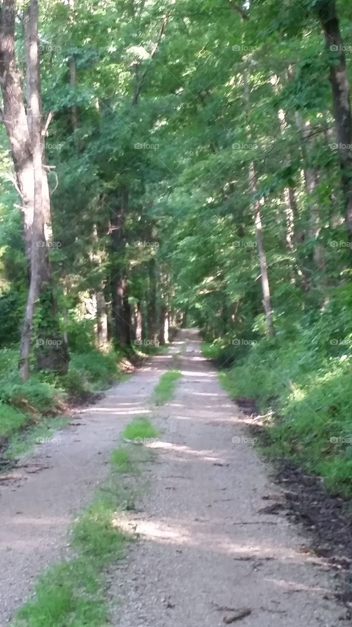 Country Back roads. The road is located in Mammoth Cave National Park and dead ends at a very old Baptist church