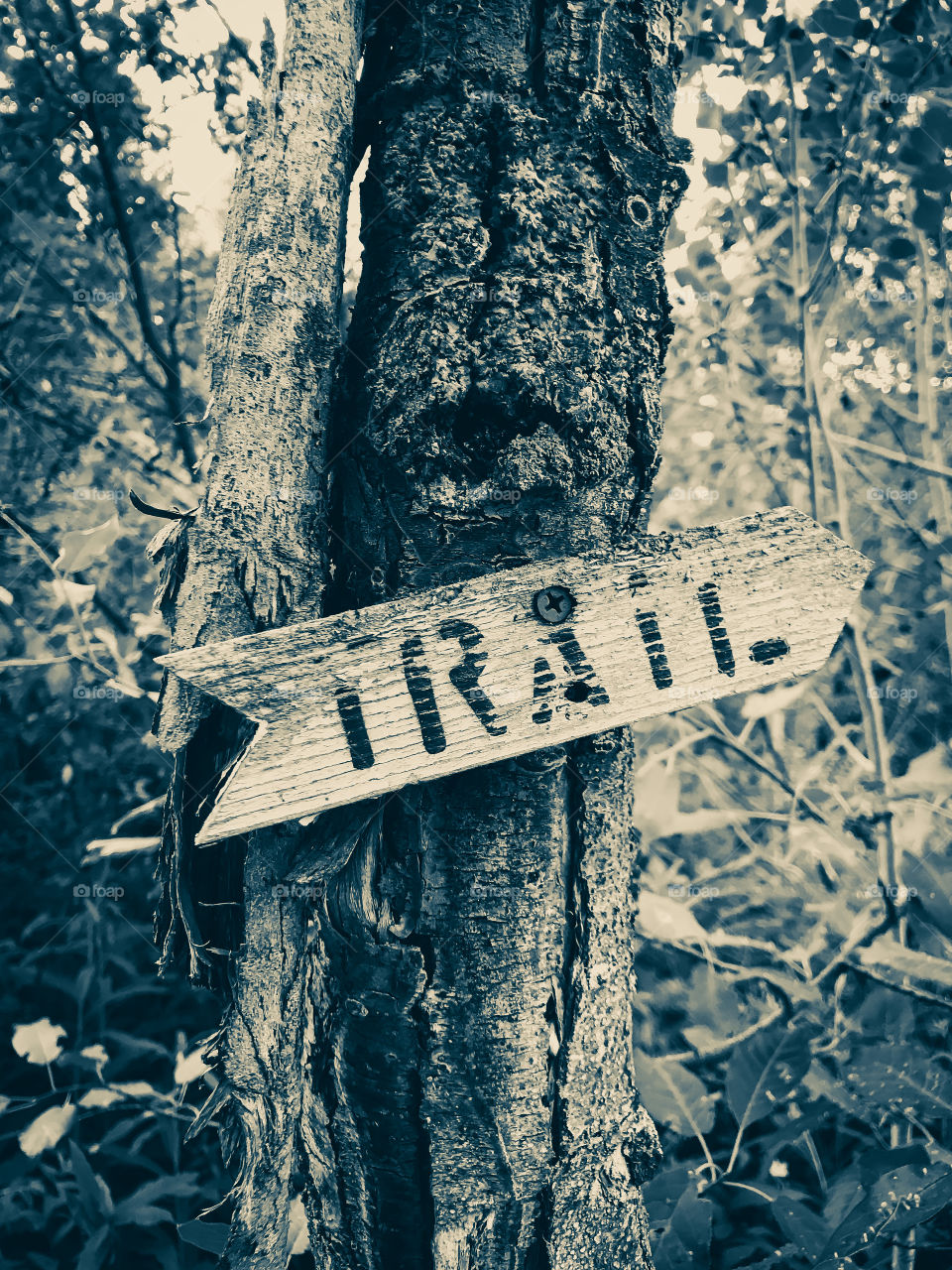Black and White Version of Trail sign on the Archery Range along Mink Creek Recreational area in the Bannock Mountain Range 12 miles from Pocatello Idaho