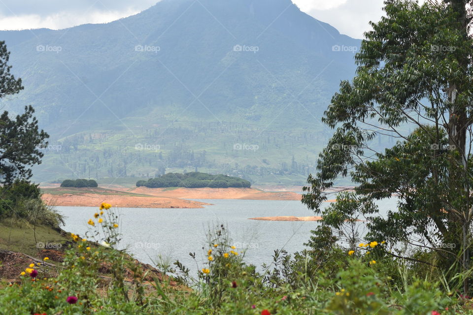 Beautiful Reservoir surrounded by misty mountains and tea astate