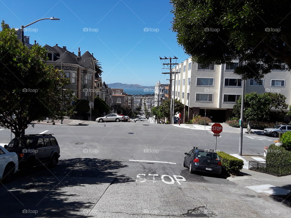 Pacific Heights San Francisco California