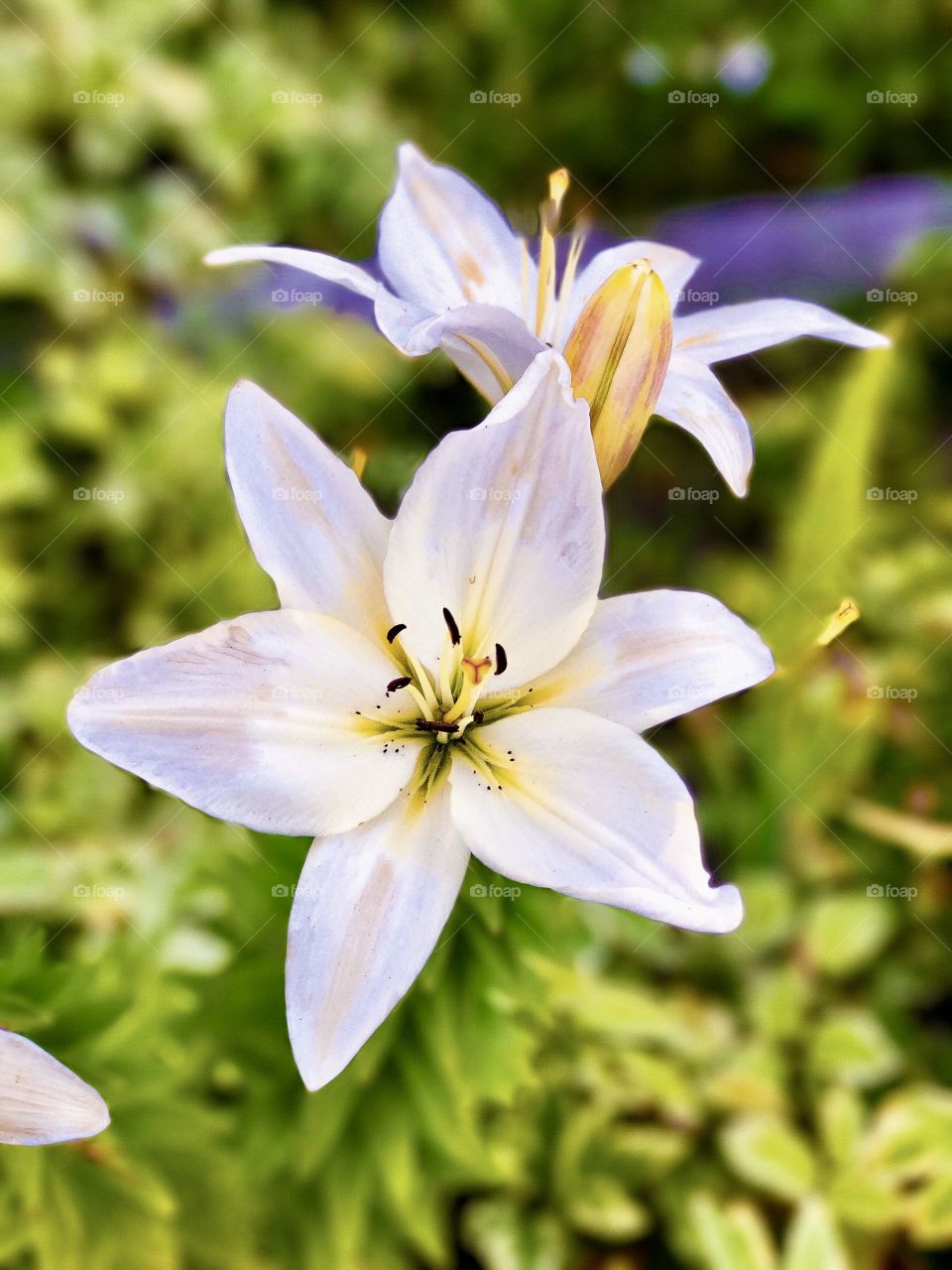 Color in a world where color isn’t always there. 