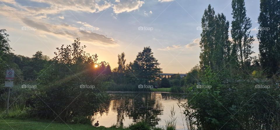 Lake in forest