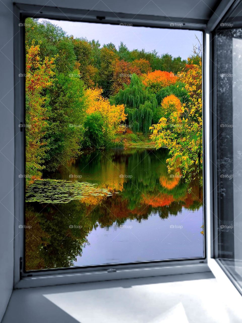 Autumn.  Golden time of different colors.  In the foreground is a black and white window.  Through the open window the river, which reflects the autumn trees growing on the shore