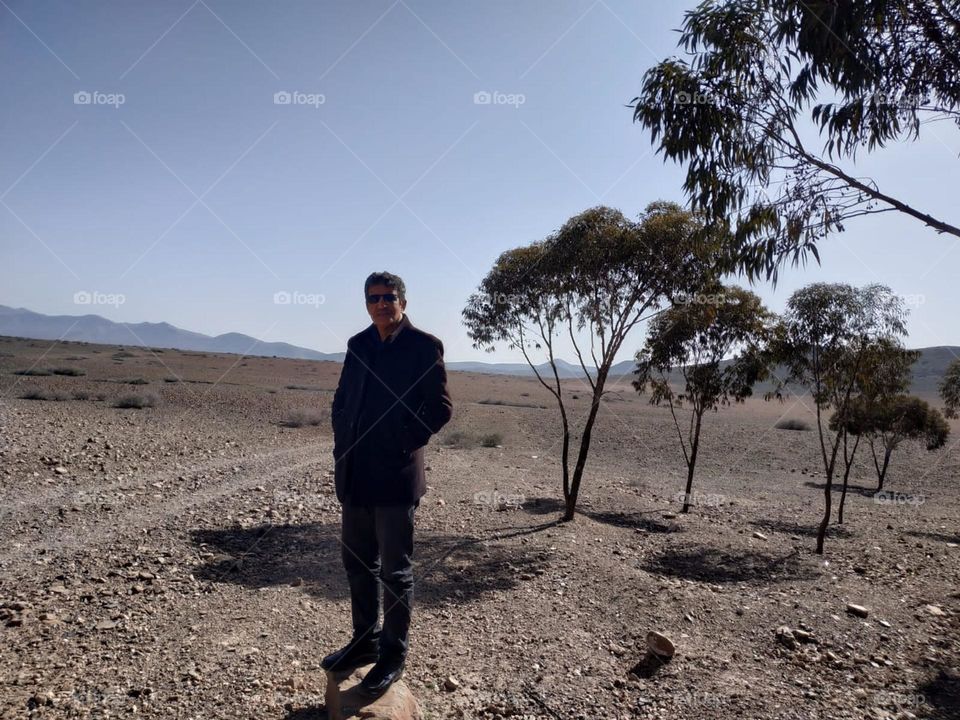 Im standing in the forest at marrakech in Morocco.