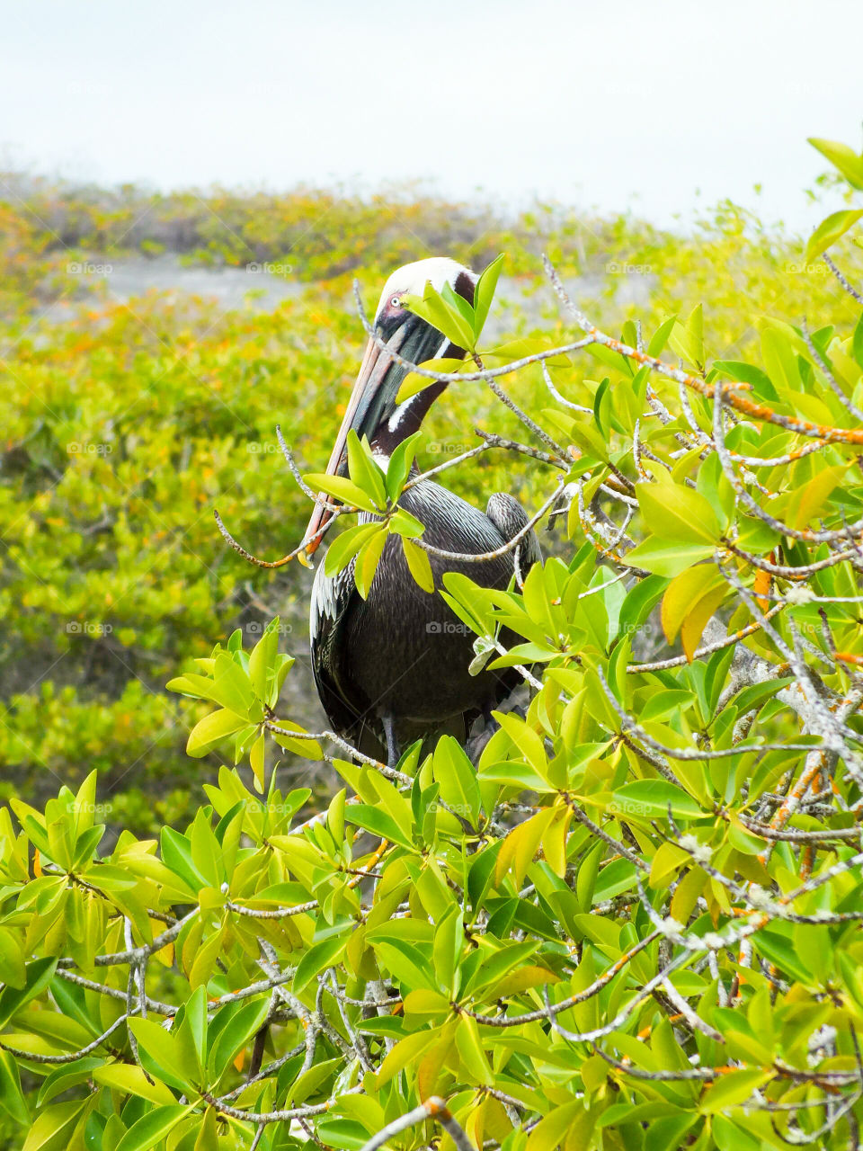 Bird perching on branch