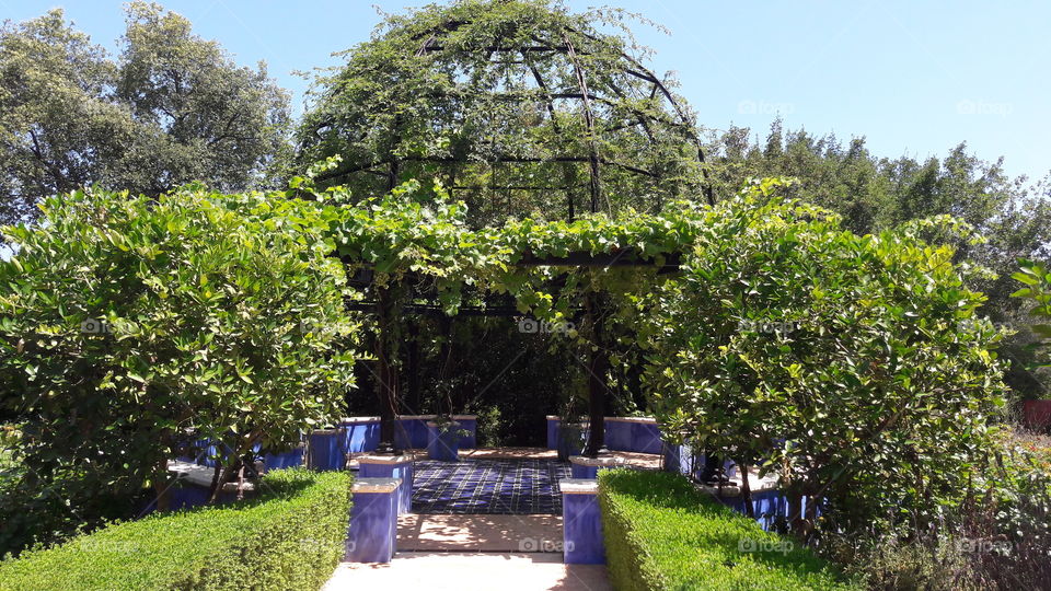 jardin de la albardena