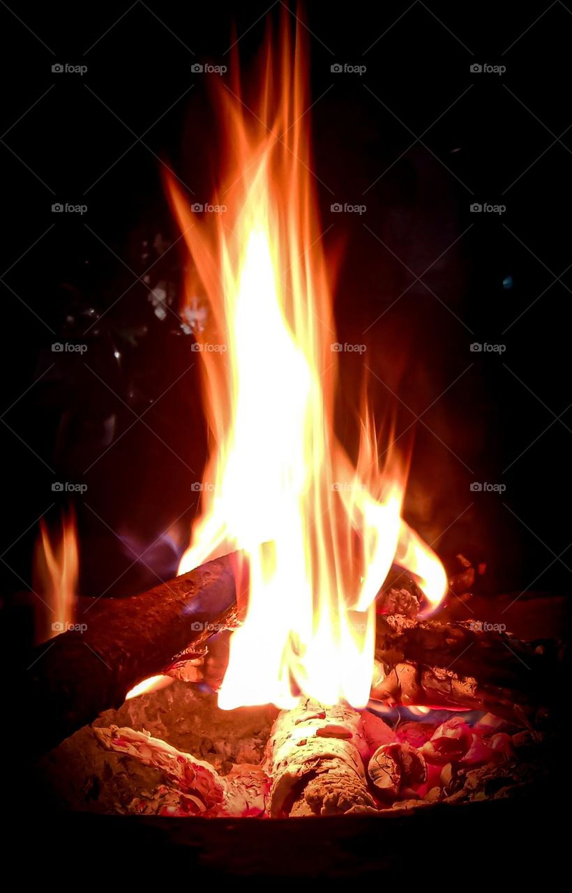 fire.. cold.  enjoying bonfire in night in winter season  beautiful flames