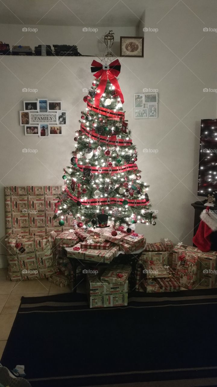Christmas, Decoration, Winter, Christmas Tree, No Person
