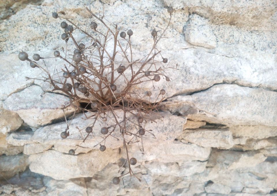 Stone, Desktop, Pattern, Texture, Rock