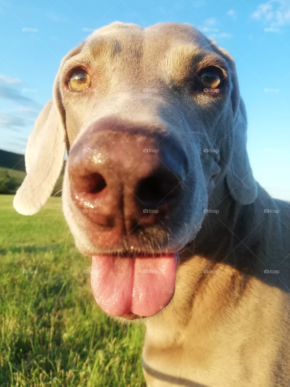 Ruby