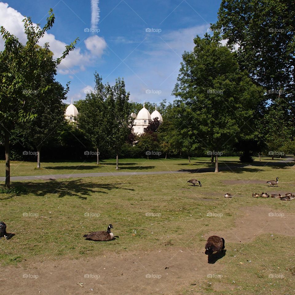 A beautiful building with multiple domes in the trees viewed from a park on a sunny summer day. 