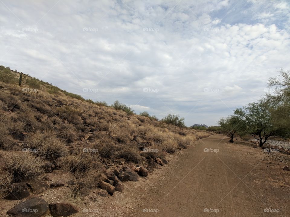 desert trail