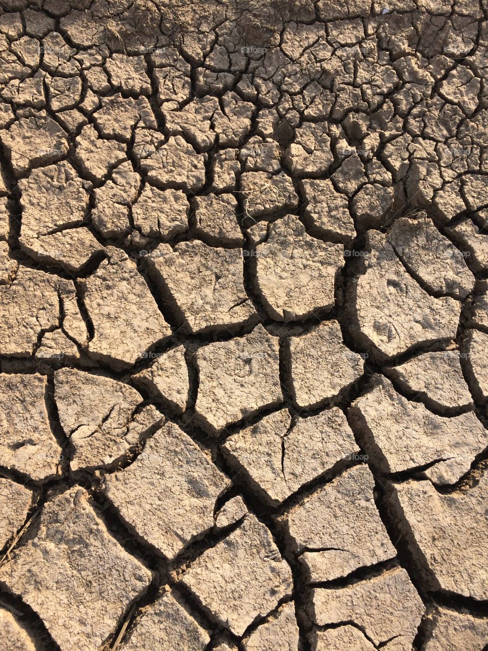 drought
