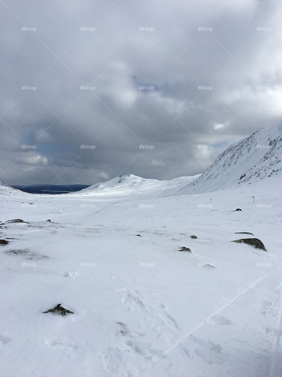 Winter in the mountain 