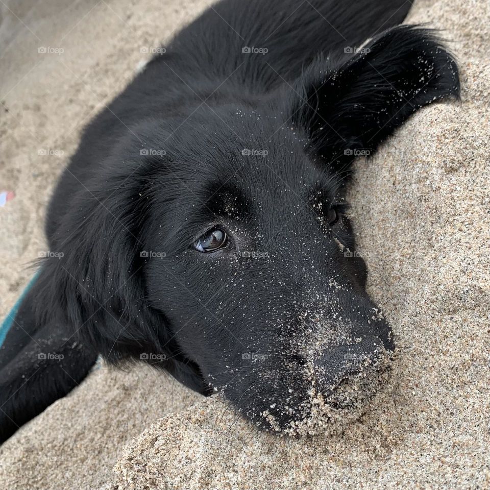 Someone like the sand