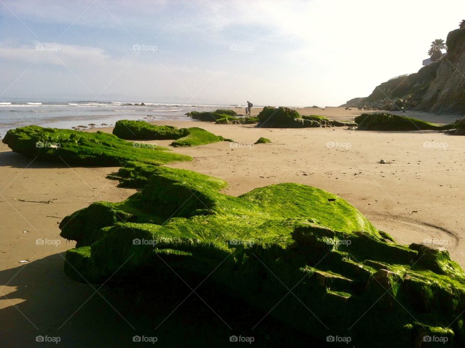 Enormous rocks covered in moss on the shore of Santa Barbara California 