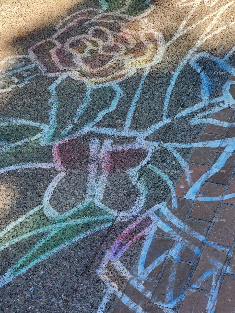 cokorful sidewalk chalk art drawings in an Oregon Park on a bright Summer weekend