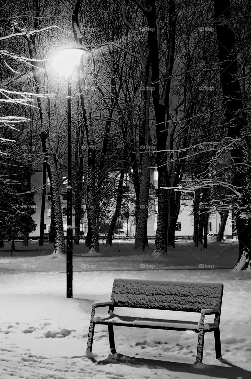 Black and White winter Park