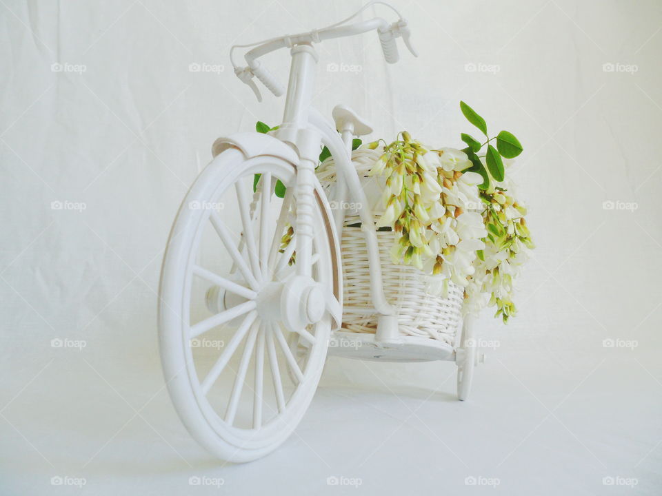 toy decorated bicycle with acacia flowers on a white background