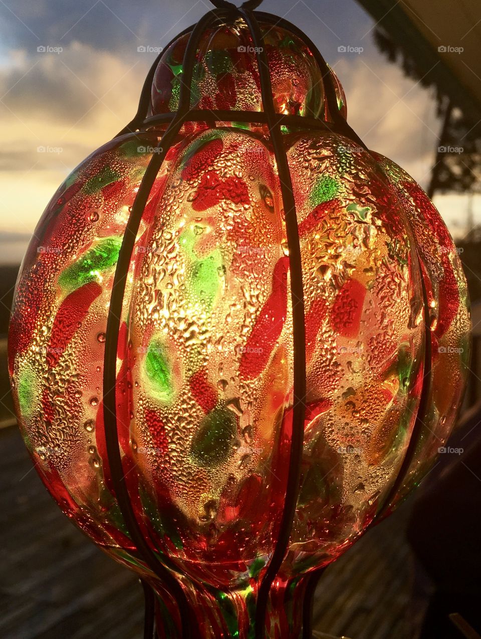 Hummingbird feeder at sunset 🌅 