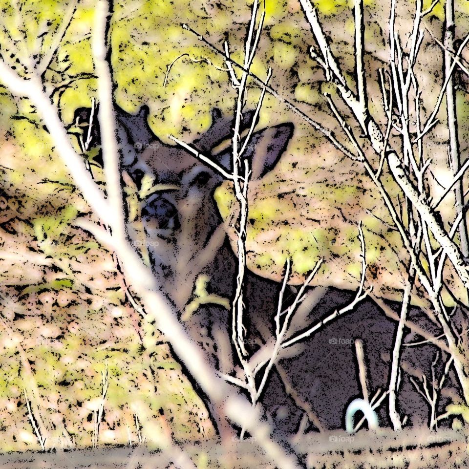 3D abstract deer looking threw brush 