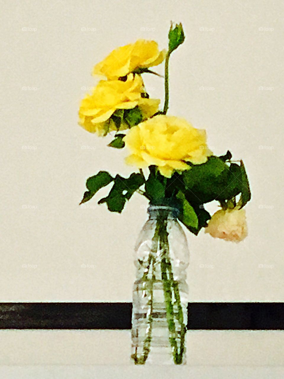 Just yellow roses 