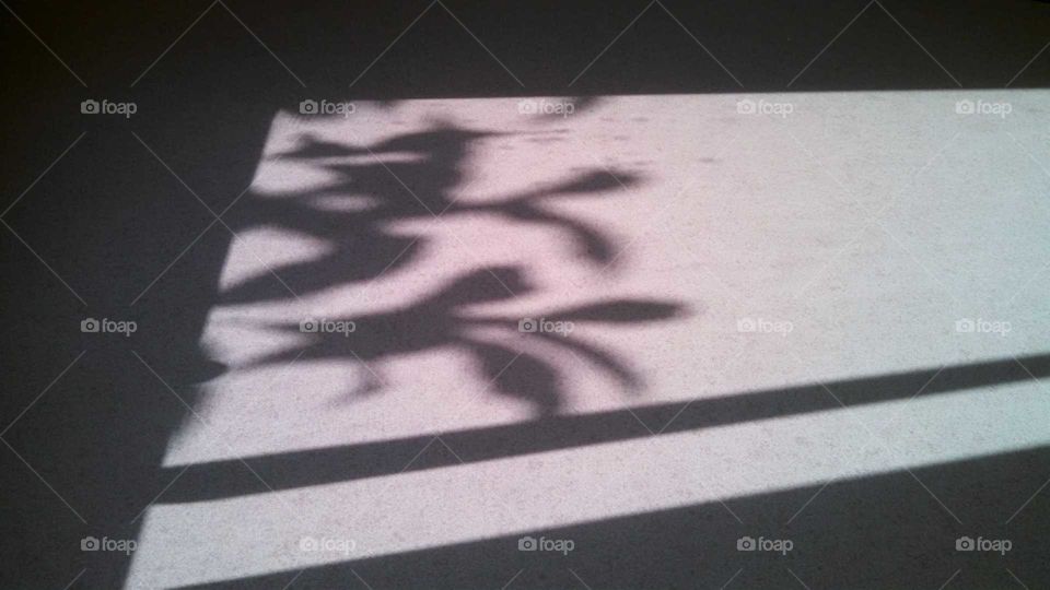 Street Shadows