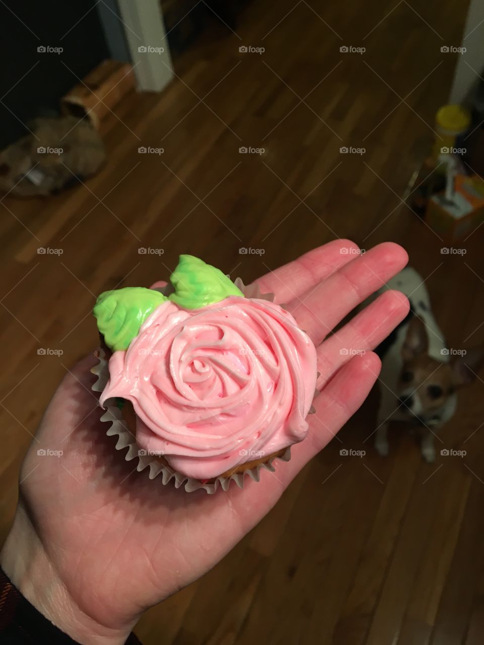 Rosie Cupcake 