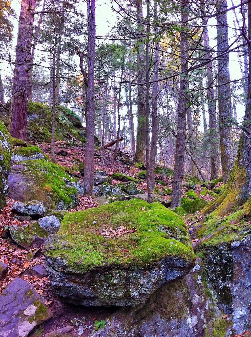 Kent Falls State Park, CT