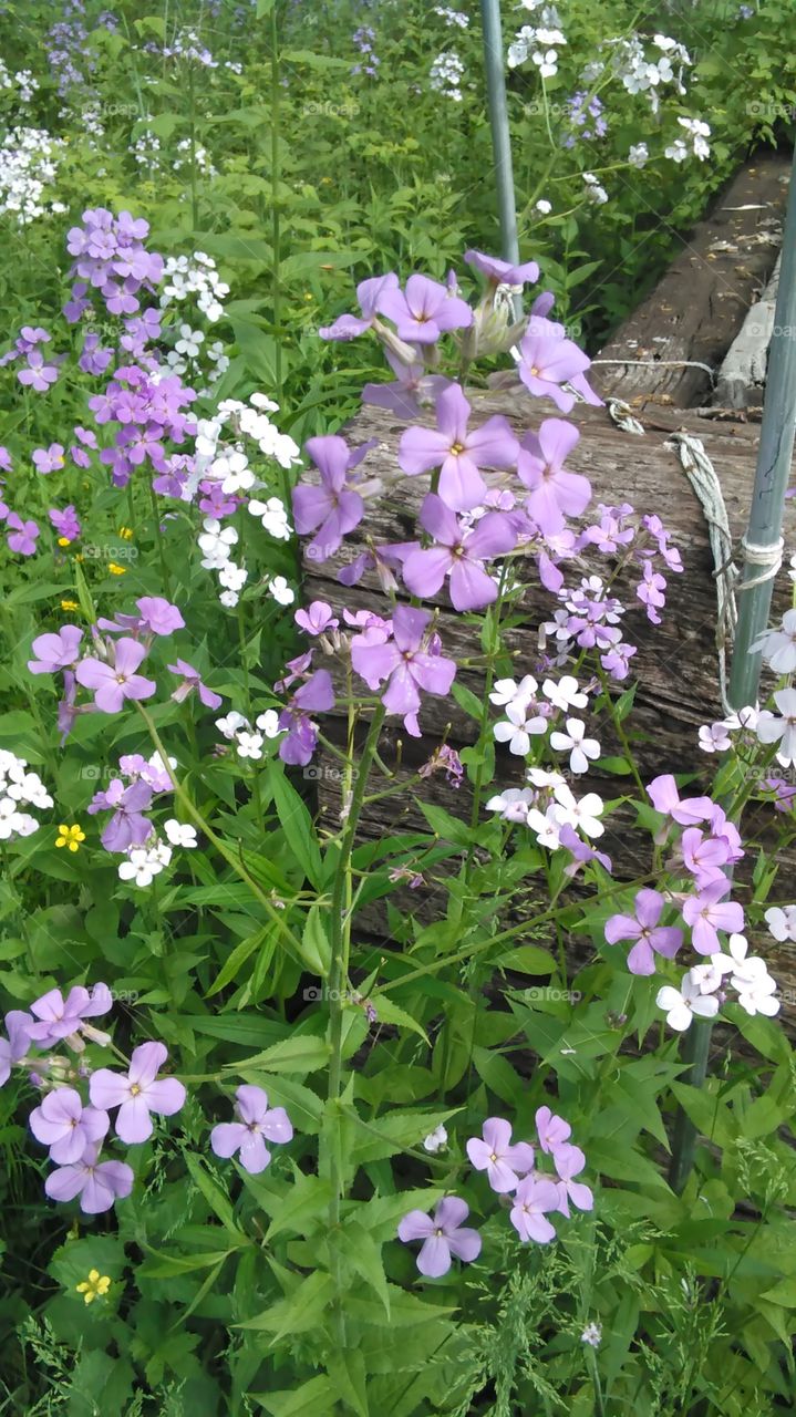 Nature is so beautiful  <3