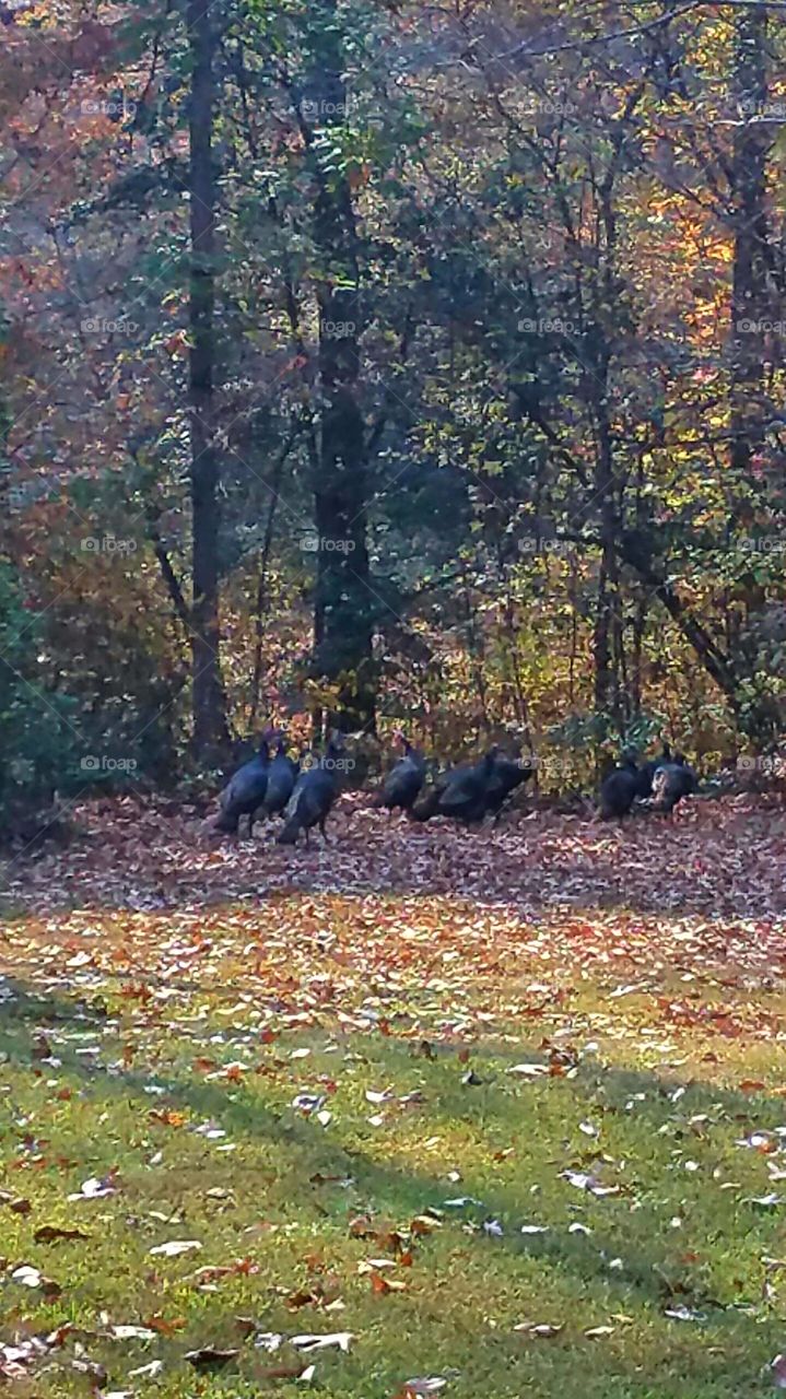 it was great for the whole family to get together at Thanksgiving