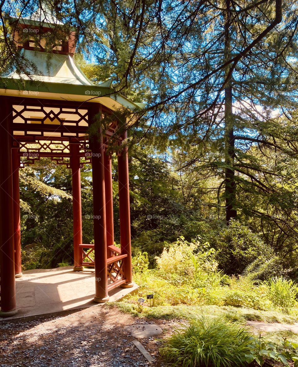 Gazebo in the garden 