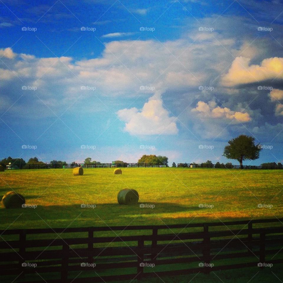 Haystacks 