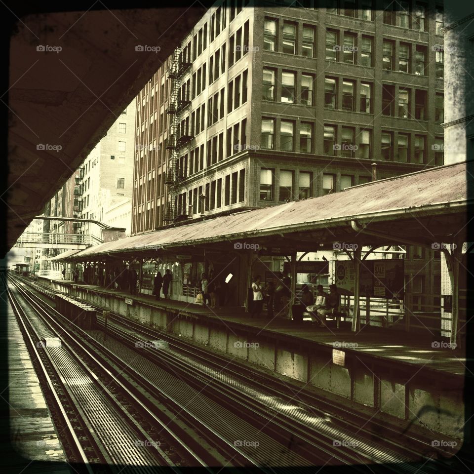 The Loop L
