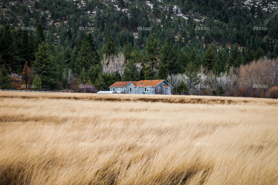 Single Farmhouse 