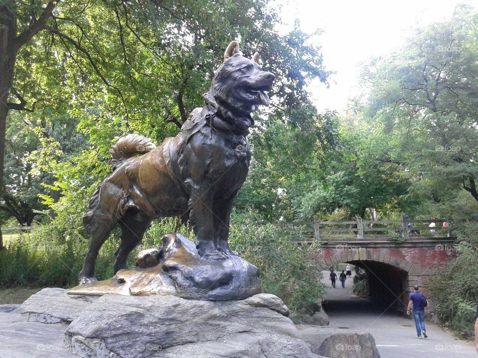 Balto, Bronze Statue in Central Park, New York City